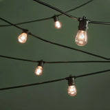 Festoon Lights