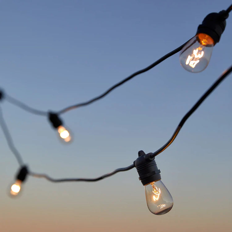 Festoon Lights